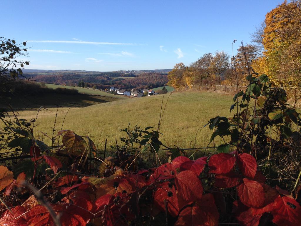 Vulkaneifel Tettscheid